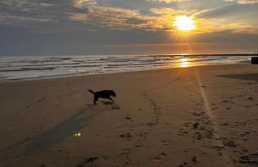 Apartment BELLA VISTA - Foto 12