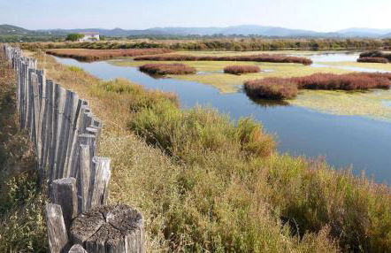 Studio à 50 m de la plage et du sentier littoral - Foto 11