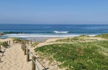 Pinheiro Manso - Foto 44