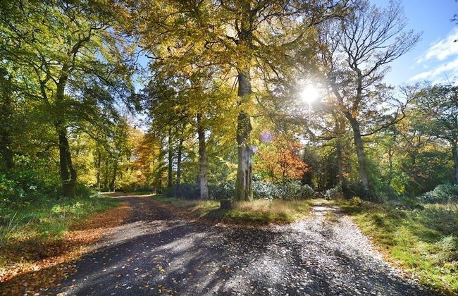 Finnich Cottages - Photo 40