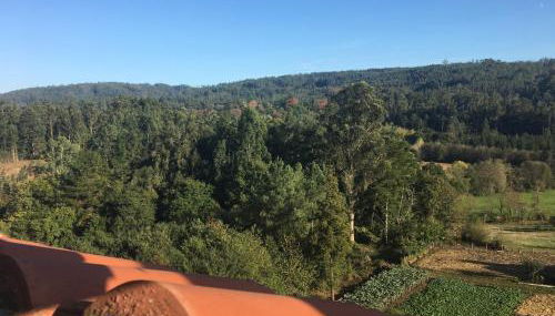 Pilgrim’s House - Foto 2