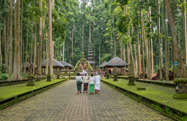 Sacred Monkey Forest in Ubud - Photo 4