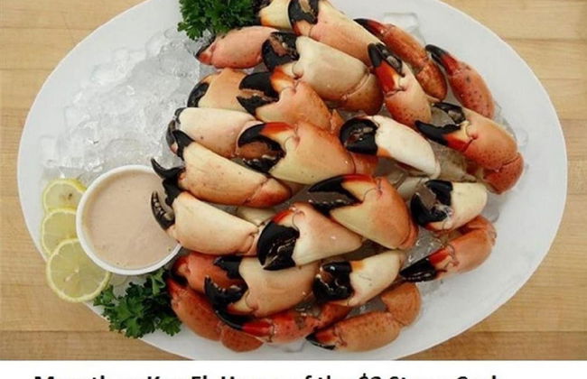 7 Waterfront 4bed 3bath Pool Home - Foto 31