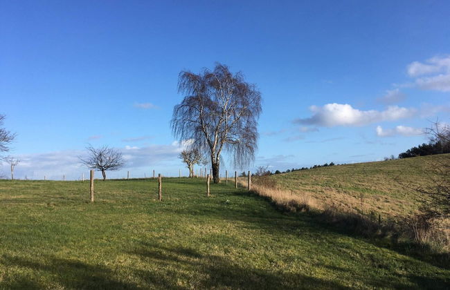 16 Person Holiday Home in Vejby - Foto 8