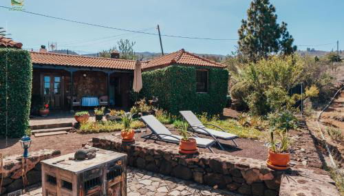 Casa Palmera - Photo 3, Garden