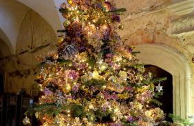 Pałac Rząsiny - Foto 70