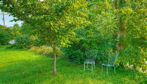 2 Mi to Hiking Trails Cozy Fayetteville Cottage! - Foto 4