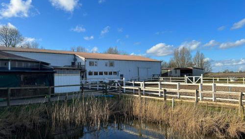Idylle auf dem Reiterhof bei Husum - Foto 3