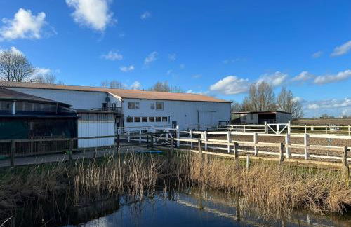 Idylle auf dem Reiterhof bei Husum - Foto 3