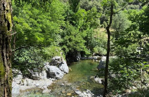 Les Cèdres - Foto 60