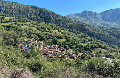 La Fontina de Tene - Foto 24