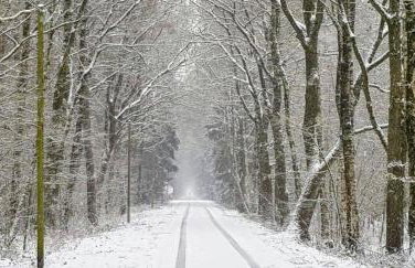 Ferienhof Thele Wohnung OG - Photo 23