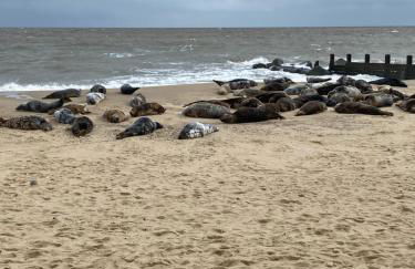 95 Sundowner, Hemsby, Norfolk - Foto 10