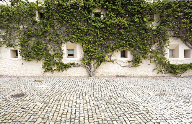 CV BC - Convento das Bernardas - Foto 15