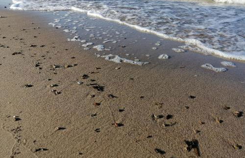 Ferienwohnung "Luv" Grube Ostsee - Foto 25