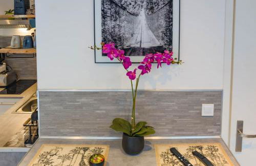 Jungle Studio - 2P à 4P -Henriville - Foto 9