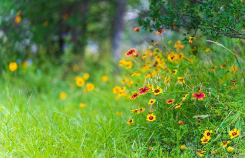 2br Texas Countryside Home w Hot Tub - Foto 24