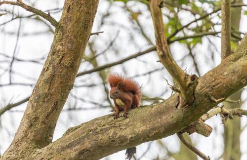 Reethus Humptrup - Foto 33