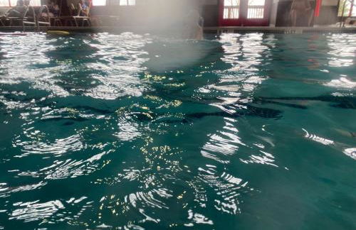 Paradise Uncovered Chalet Near Lake - Foto 47