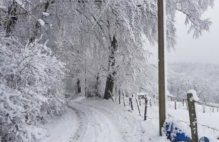 Sonnenschein am Rursee - Foto 12
