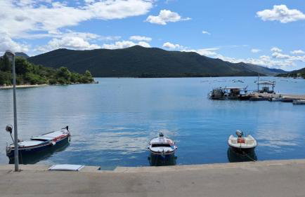 Marine Rhapsody - Foto 1