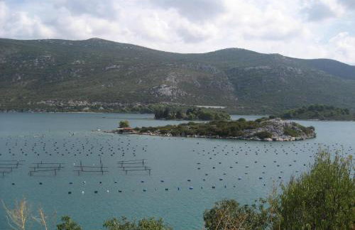 Holiday Home Villa Pindo - Photo 32