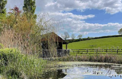 Lily pad Lodge - Foto 14