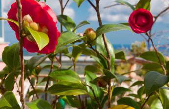 Casa Valvo Lido di Noto - Foto 51