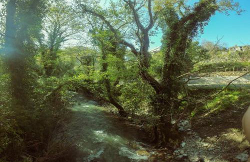 Angela's River Paradise Cottages - Foto 31