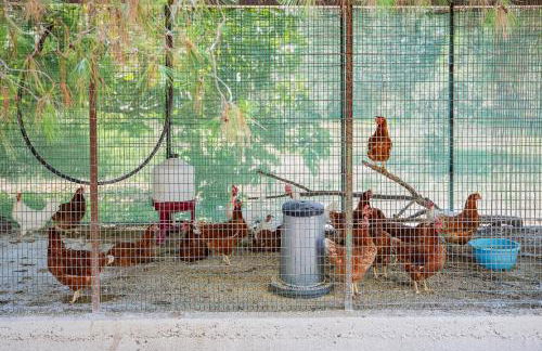 Torre Casciani - Foto 114