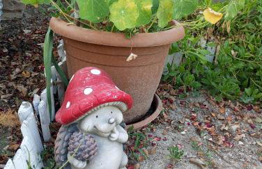 Dora's House - Foto 42
