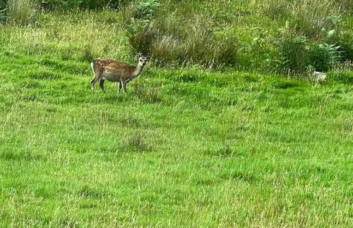 Our Salad Days Lochgilphead - Foto 21