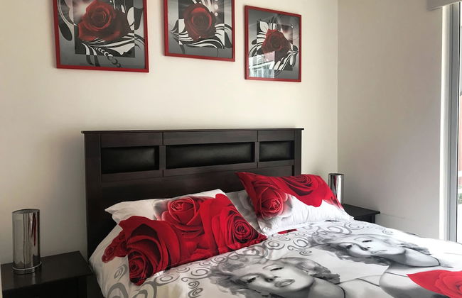 Cosmopolita - Foto 5