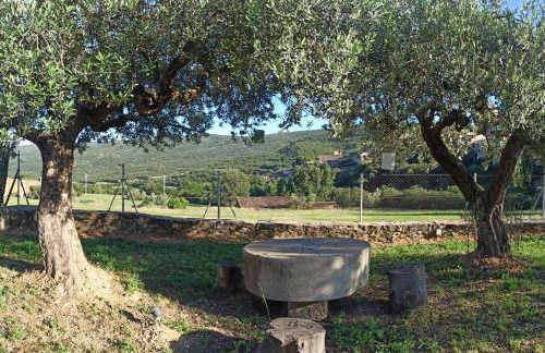 Casa Fonset - Foto 29