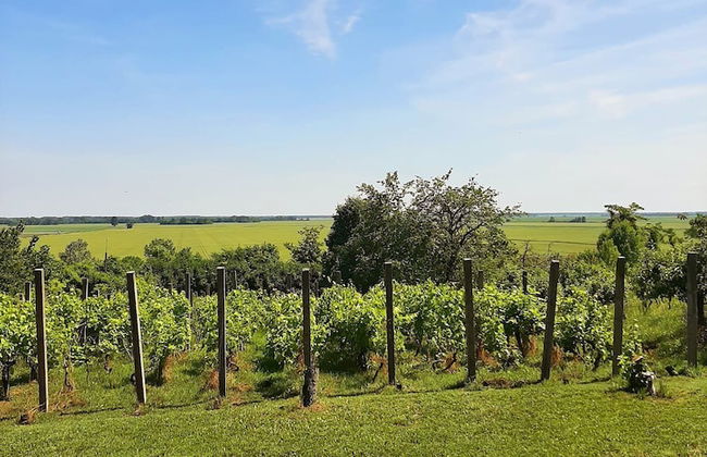 Holiday Home Mali An?eo - Foto 25