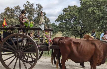 Cómodo piso en Cardeña (Córdoba) - Foto 15