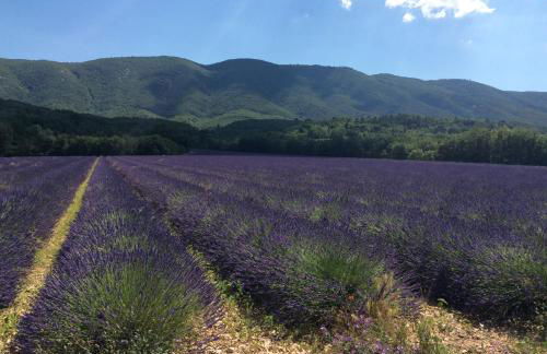 196 rue des moulins - Foto 66