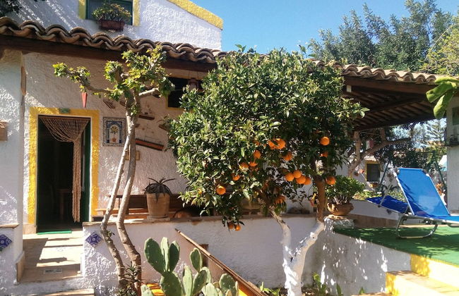 Zagara di Sicilia - Foto 76