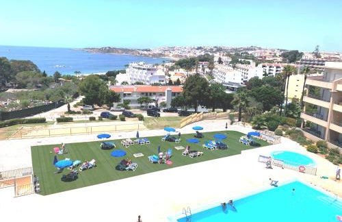 Barracuda A14 - Foto 48