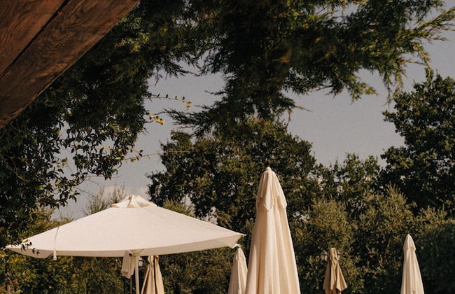 Aethos Saragano - Foto 57