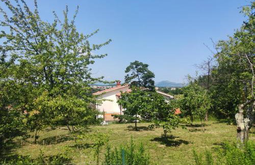 Apartment Betty - Photo 23