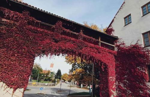 Unterkunft in Altstadt - Foto 33