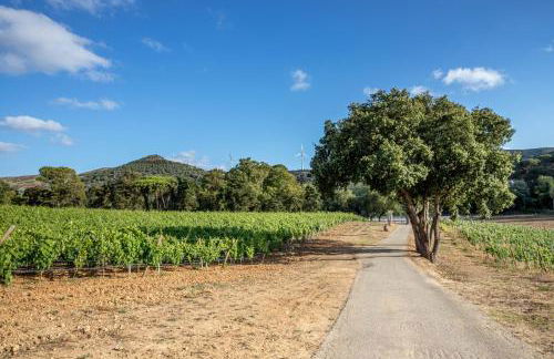 Quinta das Murgas - Photo 6