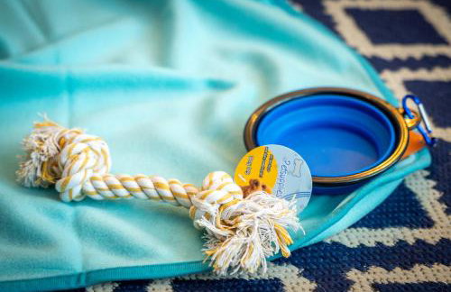 Beachfront Bliss, Sea Views, Parking, Dogs Welcome - Foto 27