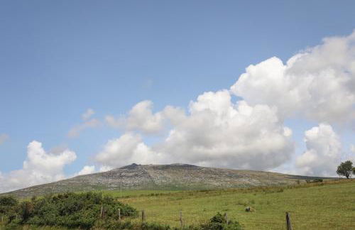 Bwthyn Derwin Fawr - Photo 32