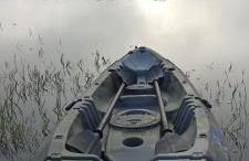 Almojanda 3 olive tree - Foto 68