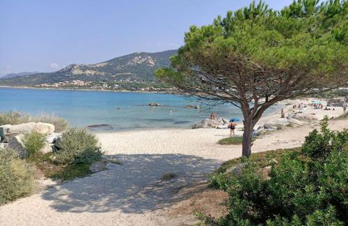 Vaccagia - 2 chambres - a 2 pas de la plage - Foto 23