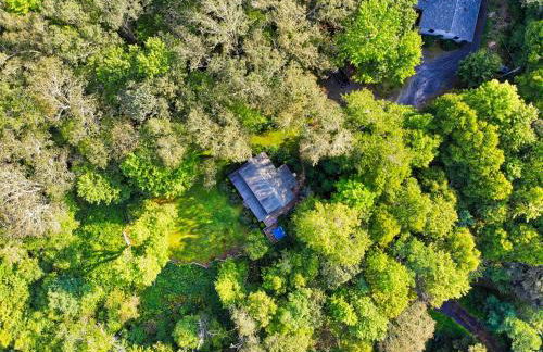 Winds Aloft - Foto 26