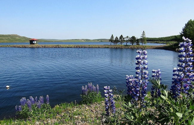 Glamorous & Stylish Getaway - Photo 14