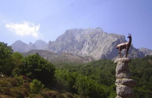 El Jermoso - Photo 7